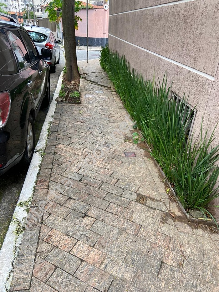 Empresa_reforma_calçada_com_piso_intertravado_raiz_de_árvore_São Paulo_Atibaia_Campinas_Guarulhos_SP.jpg