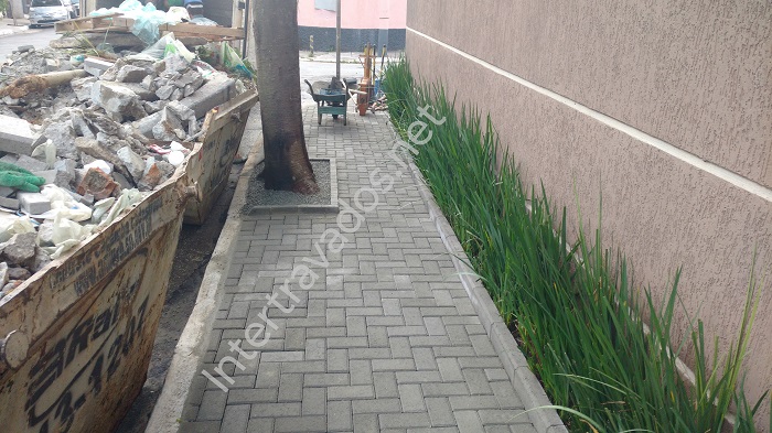 reforma_calçada_com_raiz.jpg